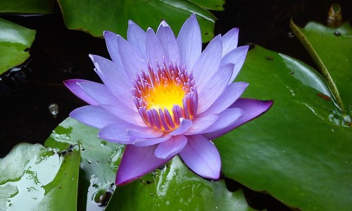 颈椎不好怎么锻炼有效-【颈椎不好导致头晕怎么办】颈椎不好吃什么药 - 颈椎不好可以站桩吗网